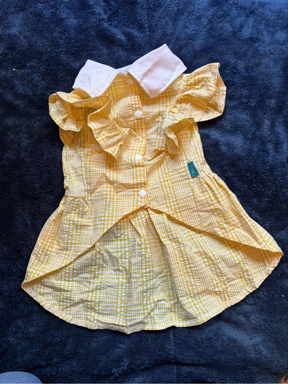 PETCIRCLE charming yellow